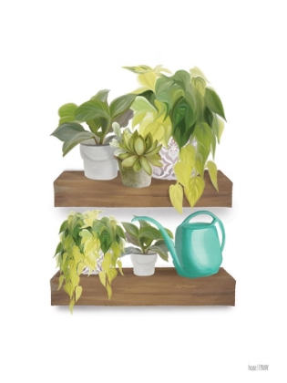 Picture of PLANT LOVER SHELVES