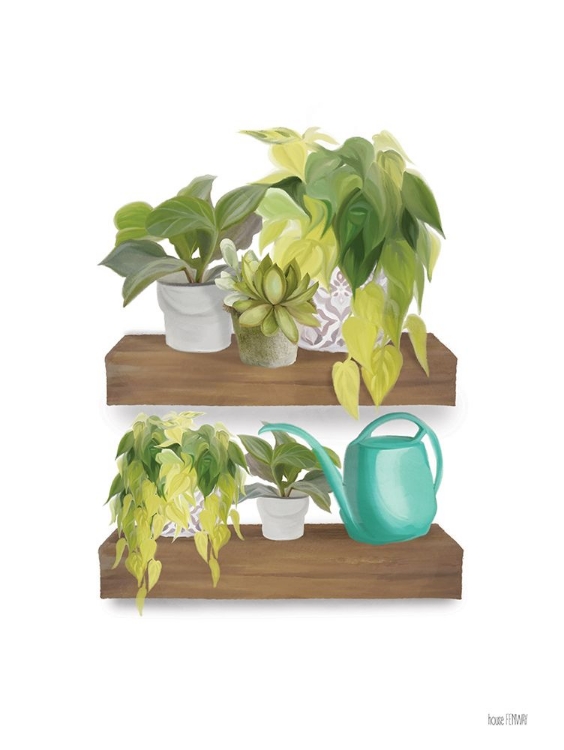 Picture of PLANT LOVER SHELVES