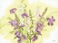 Picture of PURPLE FLOWERS