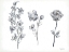 Picture of FLORAL TRIO
