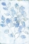 Picture of COOL EUCALYPTUS  