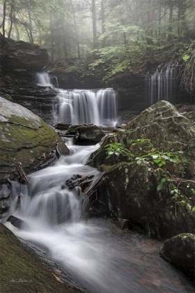 Picture of RICKETTS WATERFALL