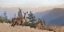 Picture of CASCADE MOUNTAIN DEER