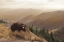 Picture of BEAR COUNTRY