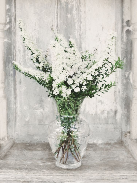 Picture of BRIDAL VEIL FLOWERS