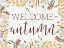 Picture of WELCOME AUTUMN