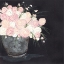 Picture of RANUNCULUS SPRAY PINK