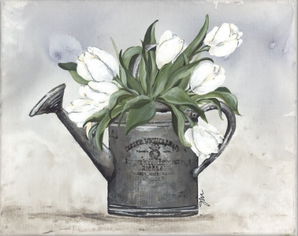 Picture of WATERING CAN TULIPS