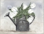Picture of WATERING CAN TULIPS