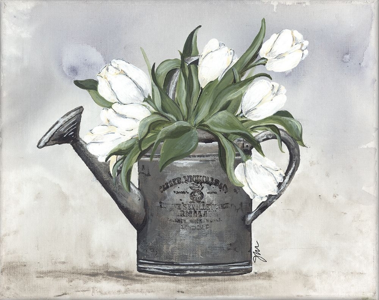 Picture of WATERING CAN TULIPS