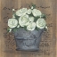 Picture of HEAVENLY ROSES