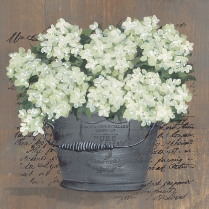 Picture of HEAVENLY HYDRANGEAS II