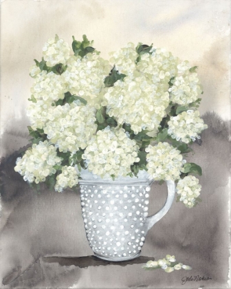 Picture of HOBNAIL HYDRANGEAS