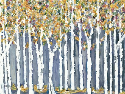 Picture of BIRCH TREES