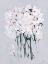 Picture of ROMANTIC FLORAL I