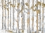 Picture of GLISTENING FOREST