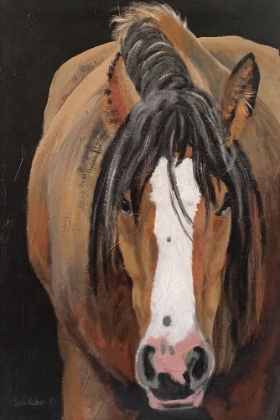 Picture of HORSE PORTRAIT II