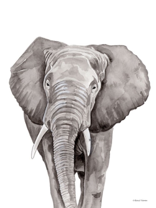 Picture of SAFARI ELEPHANT PEEK-A-BOO