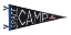 Picture of SPACE CAMP PENNANT