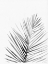 Picture of ORGANIC BOTANICAL I  