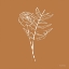 Picture of WHITE FLORAL LINE DRAWING