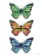 Picture of STACKED WONDERFUL BUTTERFLIES