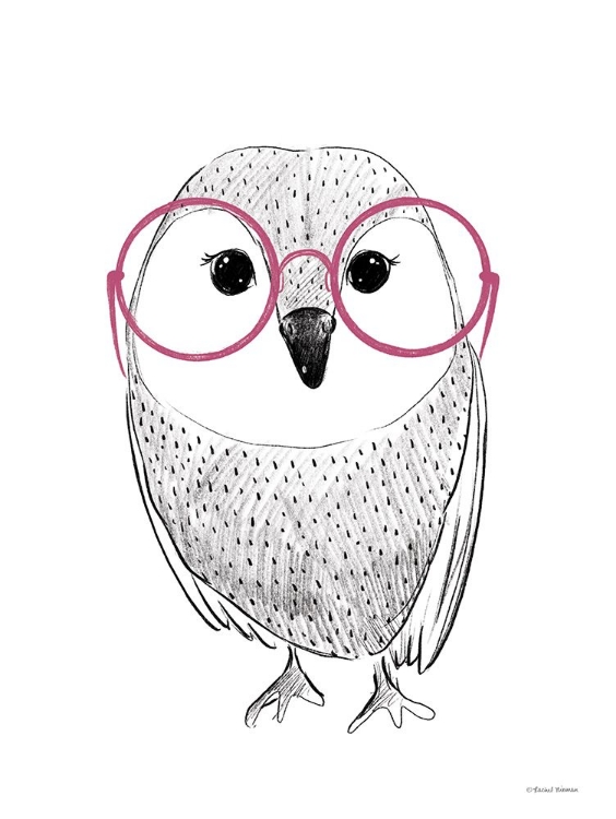 Picture of OWL IN PINK GLASSES