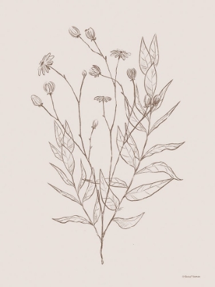 Picture of WILDFLOWER DRAWING