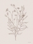 Picture of WILDFLOWER DRAWING