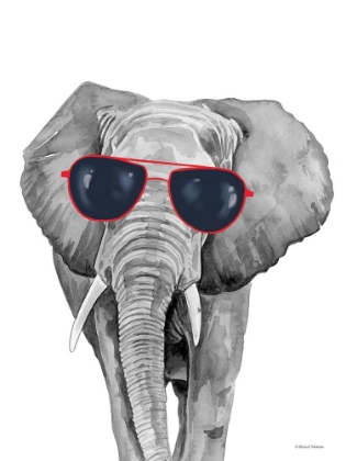 Picture of LOOKING COOL ELEPHANT