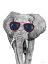 Picture of LOOKING COOL ELEPHANT