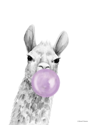 Picture of BUBBLEGUM ALPACA