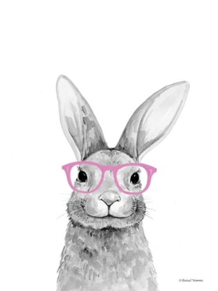 Picture of SMART RABBIT