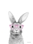 Picture of SMART RABBIT