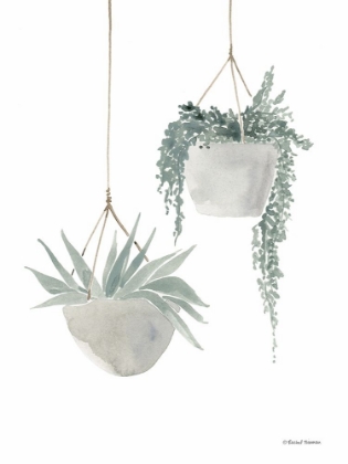 Picture of SAGE HANGING PLANTERS