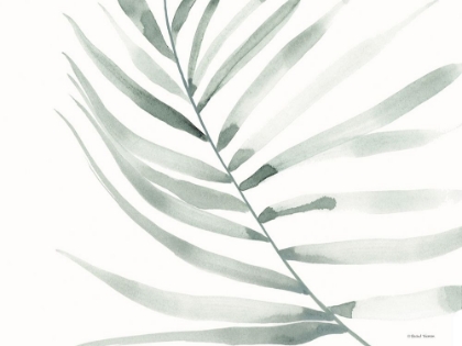 Picture of SAGE FERN LEAF