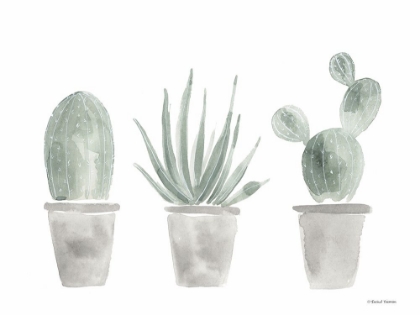 Picture of SAGE CACTUS TRIO