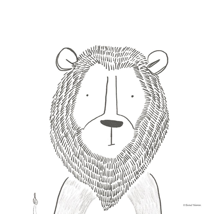 Picture of LION LINE DRAWING 1