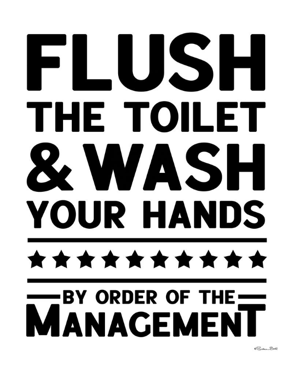 Picture of FLUSH THE TOILET