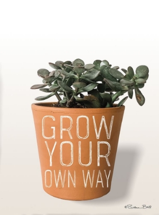 Picture of SUCCULENT GROW YOUR OWN WAY