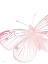 Picture of PINK BUTTERFLY II
