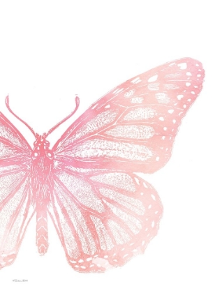 Picture of PINK BUTTERFLY IV
