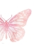 Picture of PINK BUTTERFLY IV