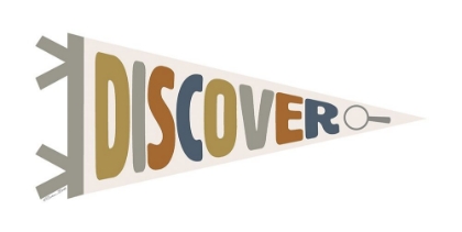 Picture of DISCOVER PENNANT
