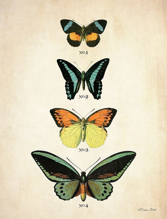 Picture of BUTTERFLIES 2   