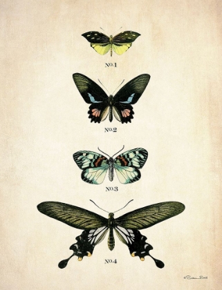 Picture of BUTTERFLIES 3     