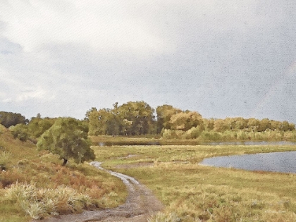 Picture of BY THE POND