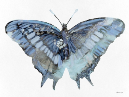 Picture of BLUE BUTTERFLY