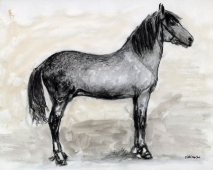 Picture of HORSE STUDY 1