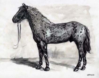 Picture of HORSE STUDY 2